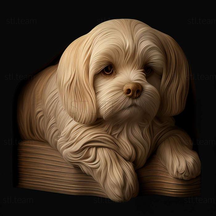 3D model Maltese Lapdog dog (STL)